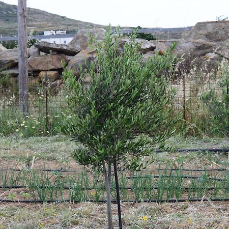 Appartamento Ktima Panagia Glinado Naxos Esterno foto
